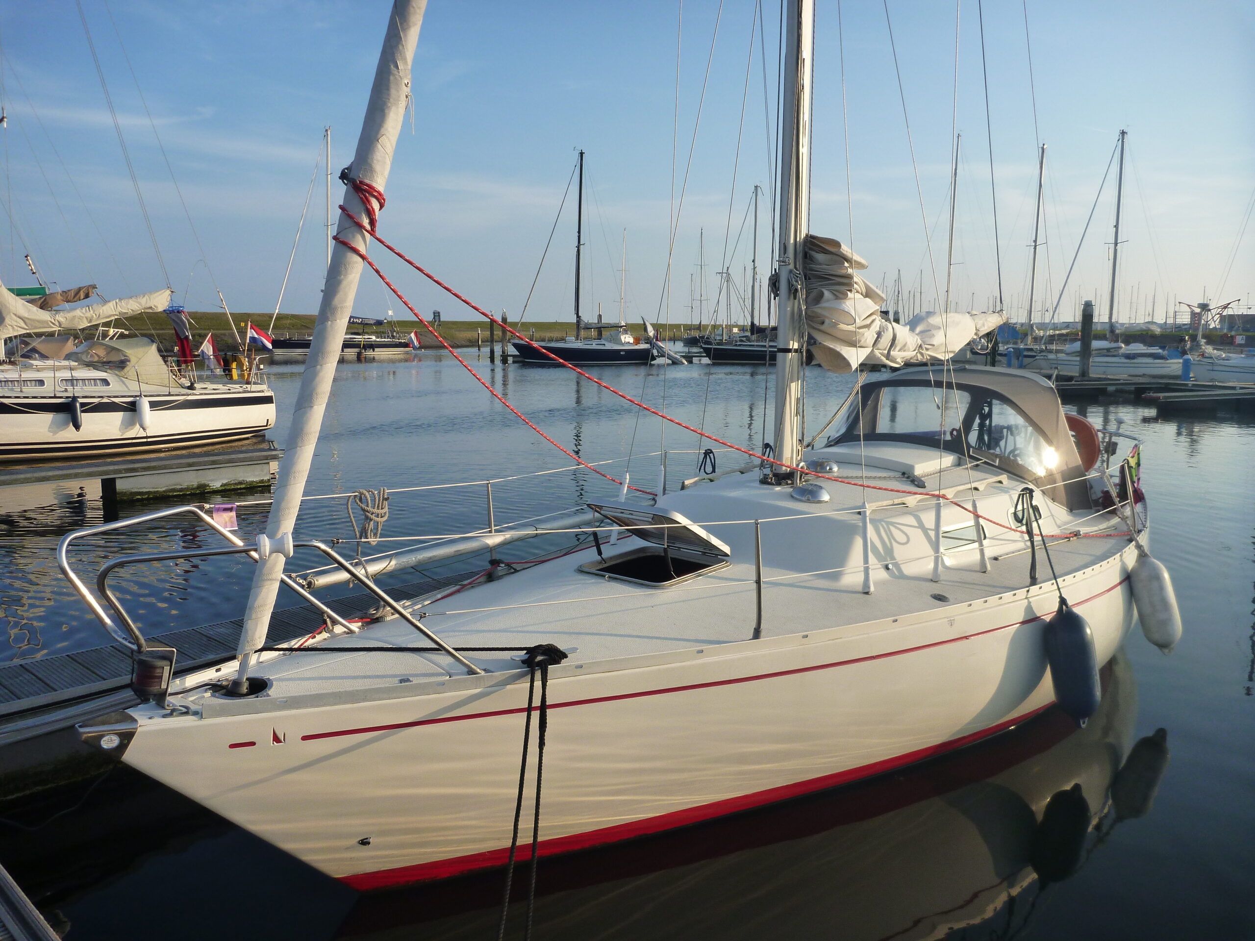 Albin (nolin) Accent 26 (4)